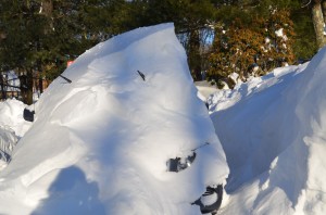 大雪